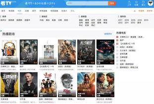爆料华裔兄弟视频大全集,揭秘视频大全集背后的感人故事  第2张